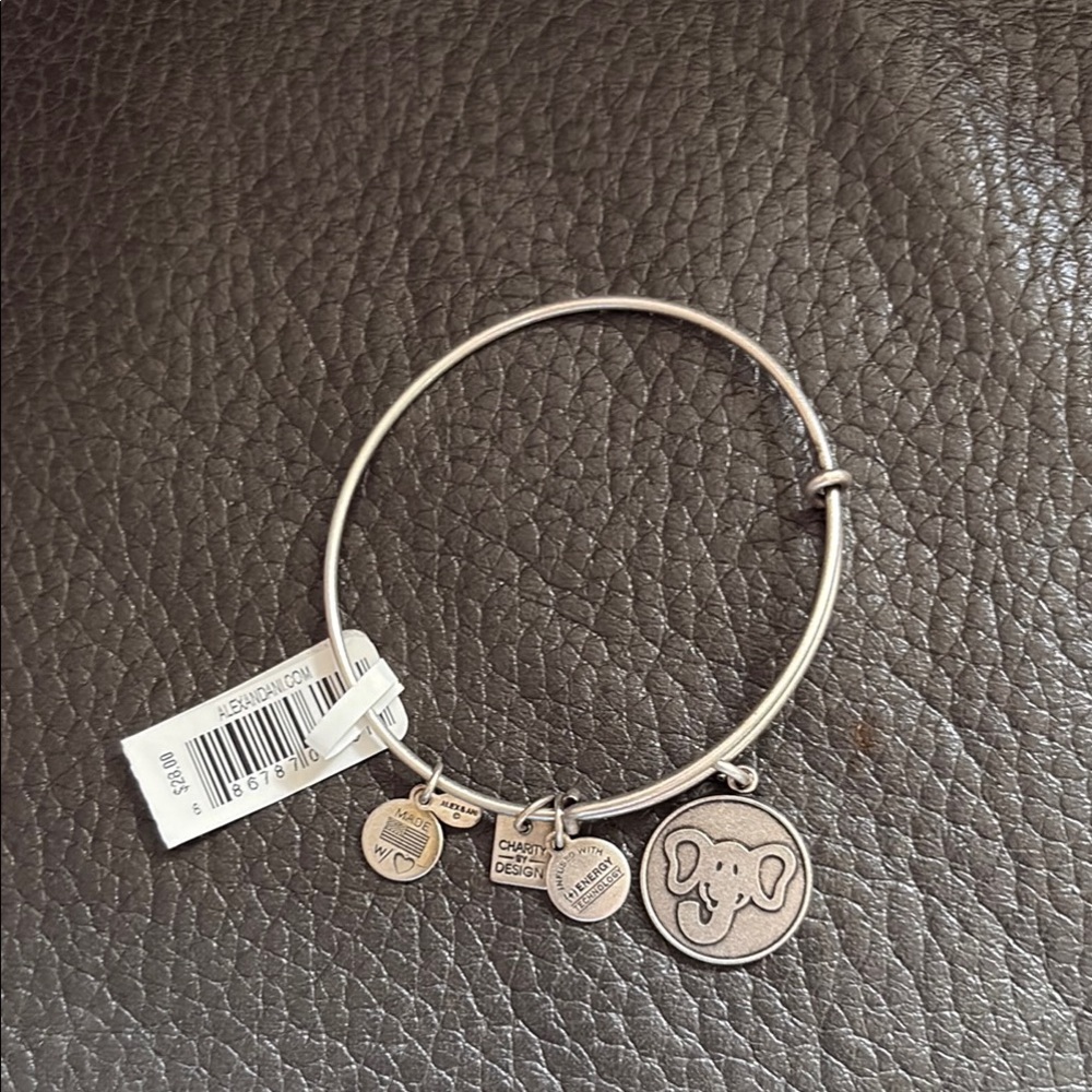 Alex and Ani Silver distressed look Elephant Charm Bracelet